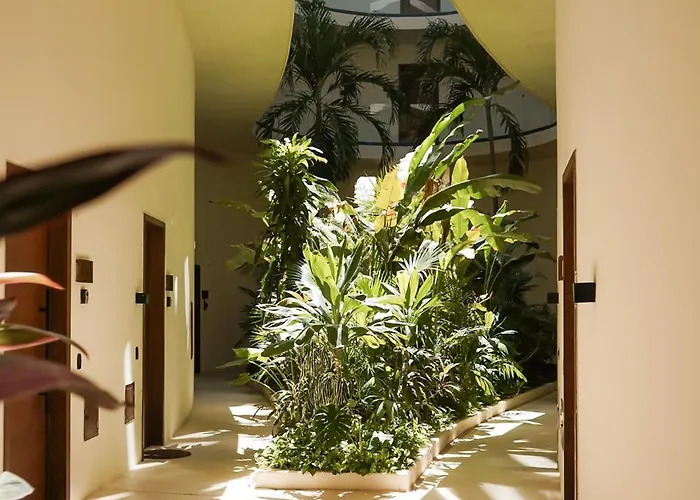 Mistiq Gardens 2